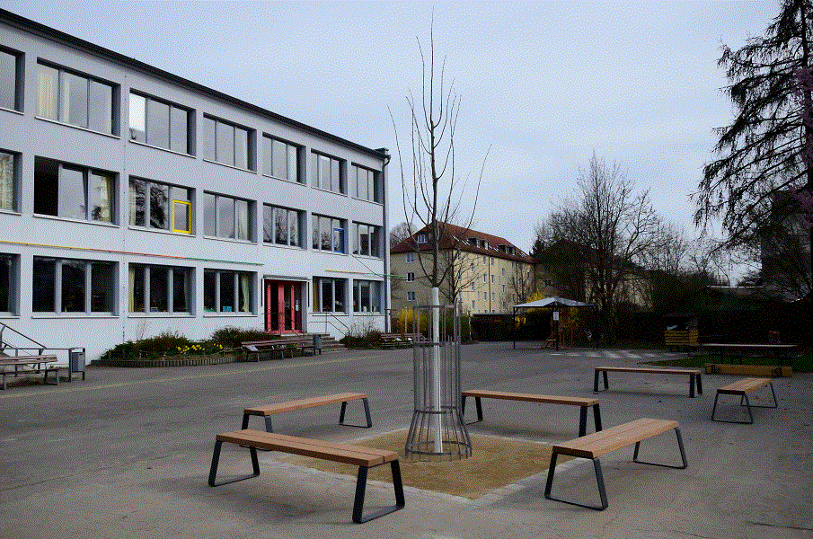Baumpflanzung auf Schulhof